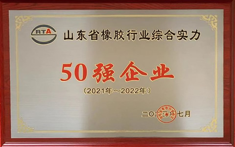 山東橡膠行業(yè)50強揭曉，濰坊順福昌橡塑公司榮膺殊榮并持續(xù)創(chuàng)新前行
